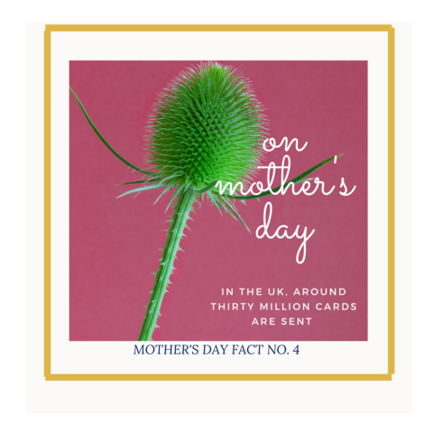 mothers-day-fact